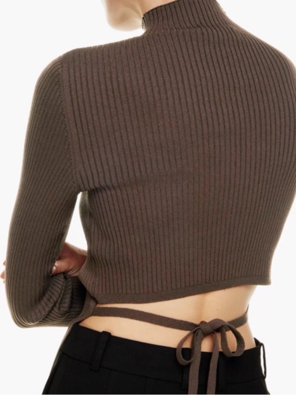 Aritzia Babaton Turtleneck